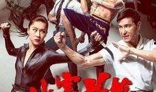 城寨英雄27在线观看,风云再起，英雄传奇续篇